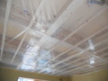 DSCN3967