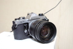 IMGP1318