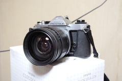 IMGP1317