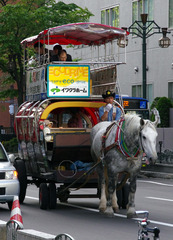 IMGP0083