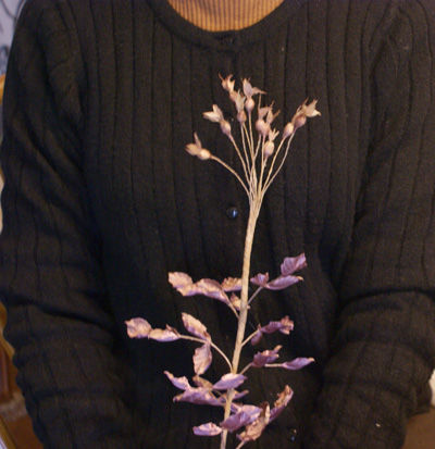 DSC00196