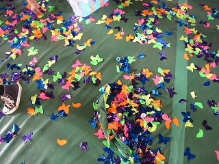 965bf55e.jpg