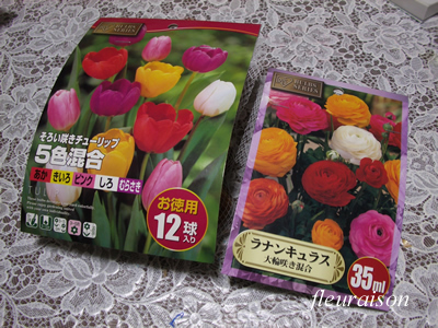 flower20091029a