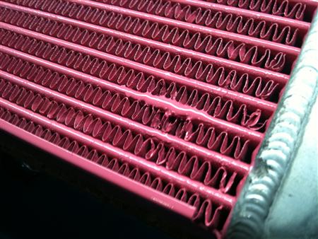 IMG_0800_R
