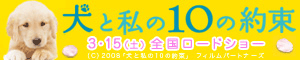 犬と私の10の約束