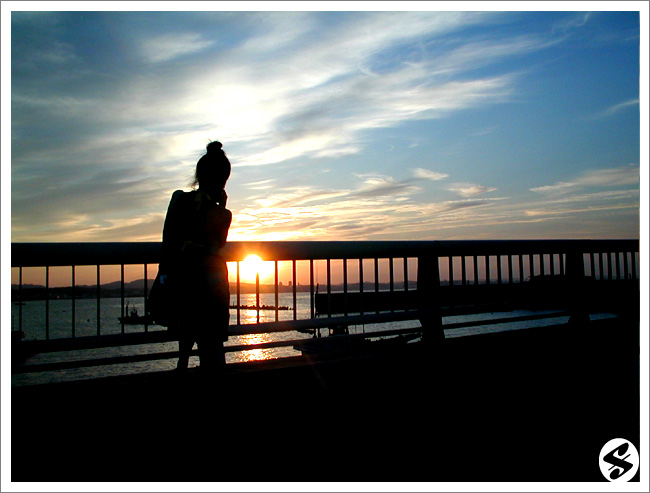 flicker_peacenic09_yuyake1.jpg