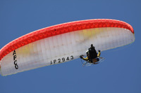 2943-�������