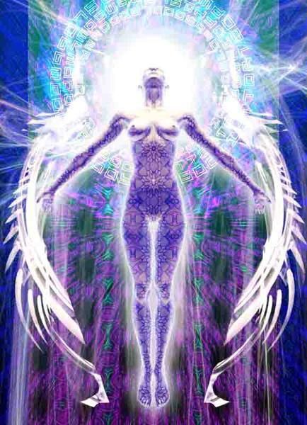 lightbody