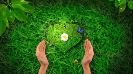 heart-greengrass