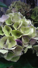 34f23e6d.jpg