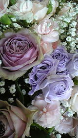 7d73e742.jpg