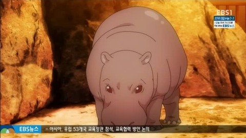 25-55-1カバ