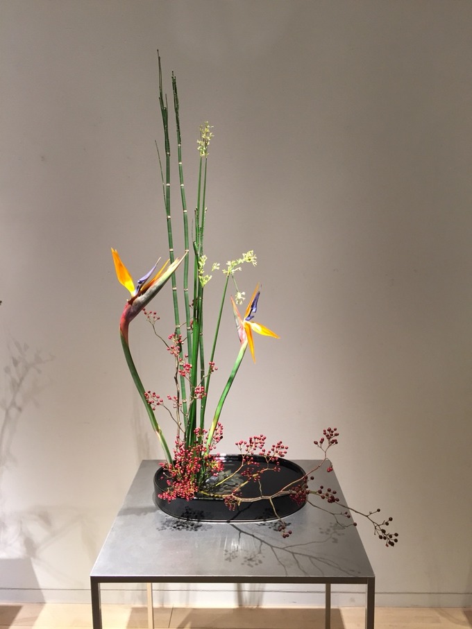 2015-11-14-14-24-20