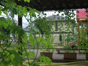 西部保育園②