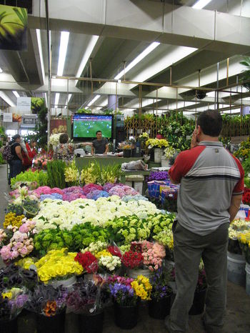 flowers 715