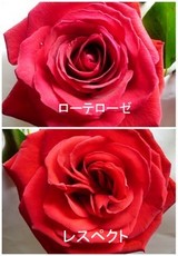 525a7851.jpg