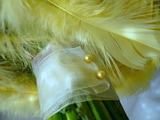 dc2e905a.jpg