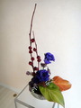 DSC01744
