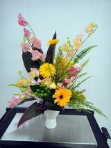DSC02520