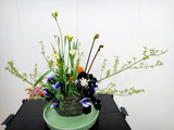DSC02440
