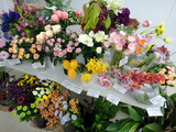 DSC01780