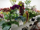 DSC01784