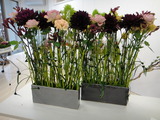 DSC01827