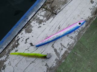 IMGP0150
