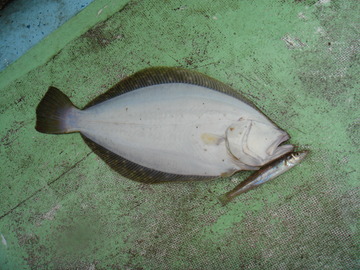 DSC01057