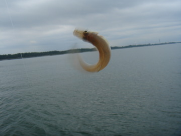 DSC01044