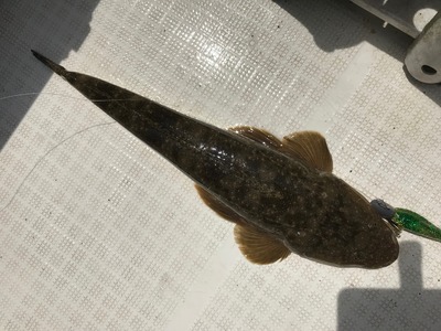 image6