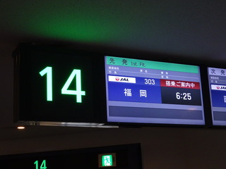 DSC04242
