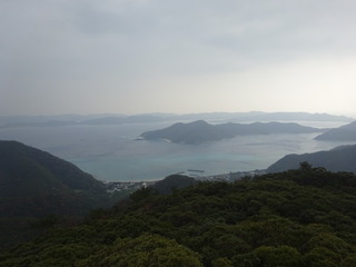 DSC00271