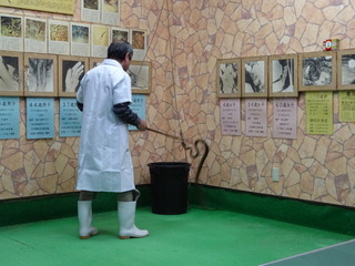 DSC00102