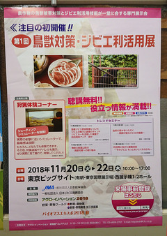 ポスター
