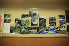 桂川清掃会写真展