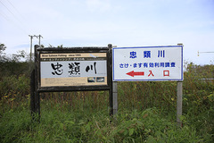 忠類川