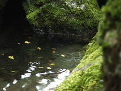 中丿沢