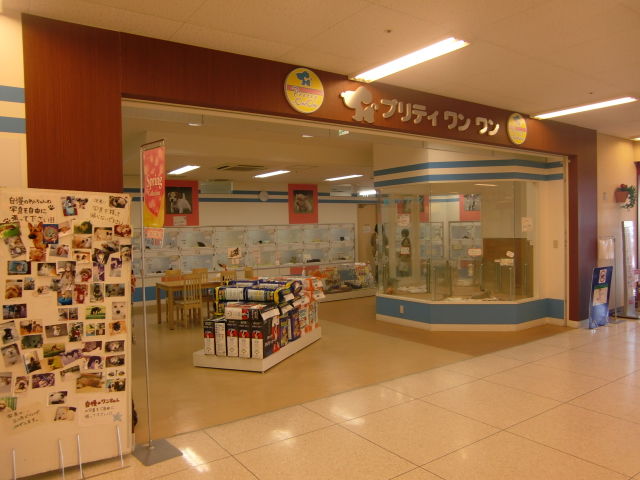 CIMG0070