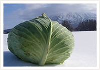 foodimg_0101