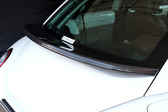 NB-R-WING-CARBON2-1000