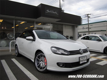 GOLF6¥«¥Ö¥ê¥ª¥ì_ϵ×ÍÍ_RAYS_G25_(Mercury_Silver)_(¼Ð¤áÁ°)