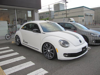 THE_BEETLE_TSW_Broollands_Matte_Black