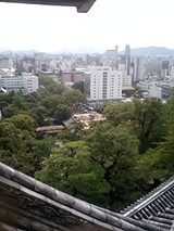 ¹âÃθ©