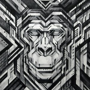 monkey