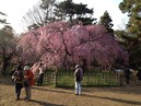 京都御所入口
