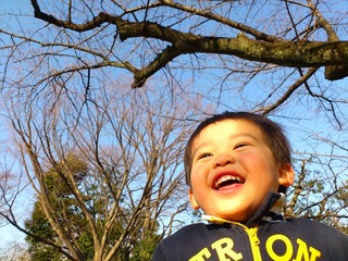 写真1
