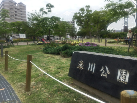IMG_4338のコピー