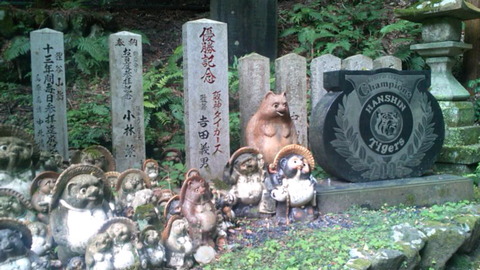 enter_tanukidani