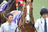 ディープスカイ